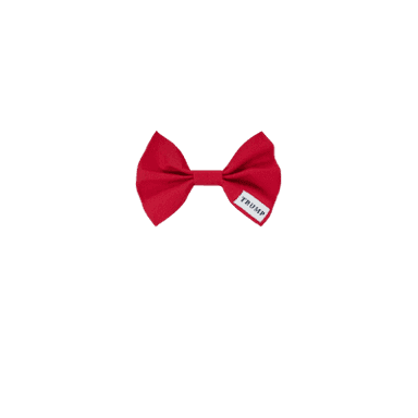Red Bowtie